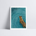 Tiger Wading Art Print